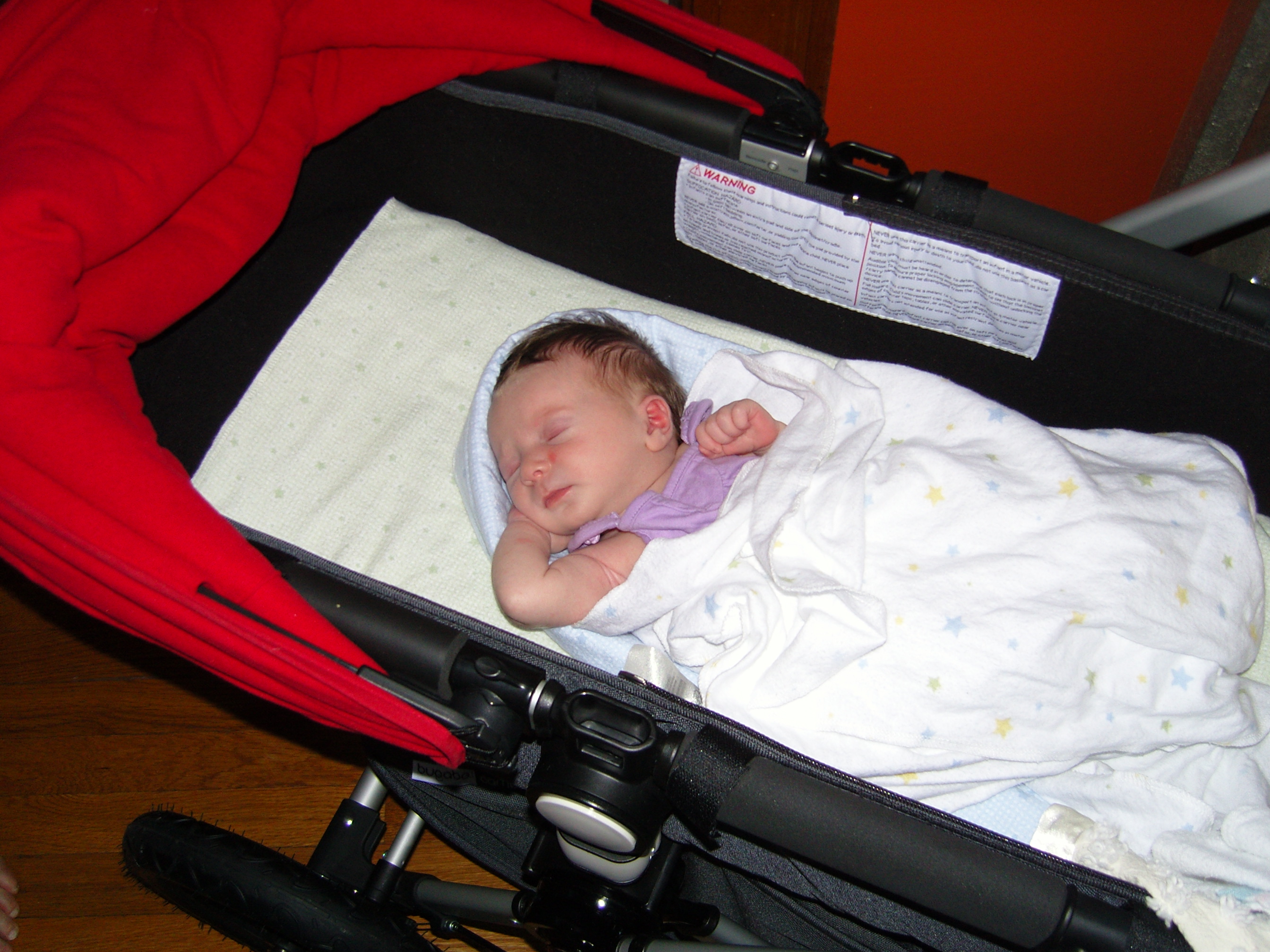 large baby bassinet